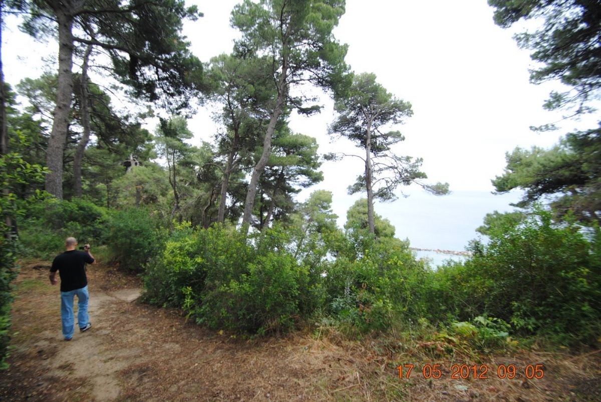 imagini hotel CORFU HOLIDAY PALACE